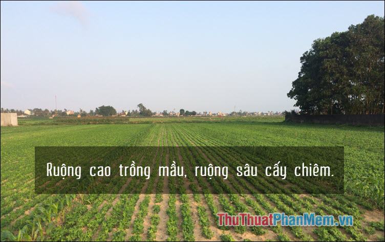 Ruộng cao trồng hoa màu, ruộng sâu nuôi ước mơ