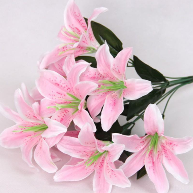Hình ảnh hoa loa kèn màu hồng nhạt đẹp