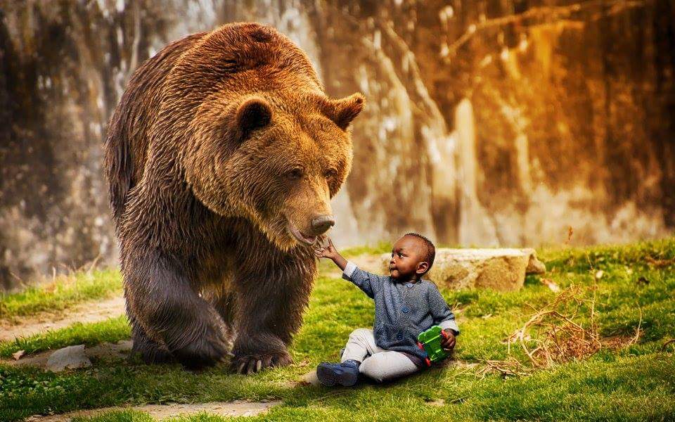 Những hình ảnh đẹp nhất về gấu và đàn con