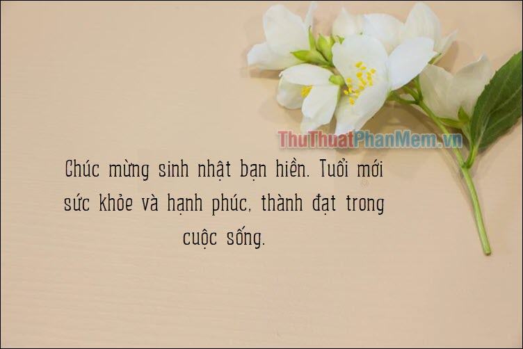 tuổi mới sức khỏe, hạnh phúc và thành công trong cuộc sống