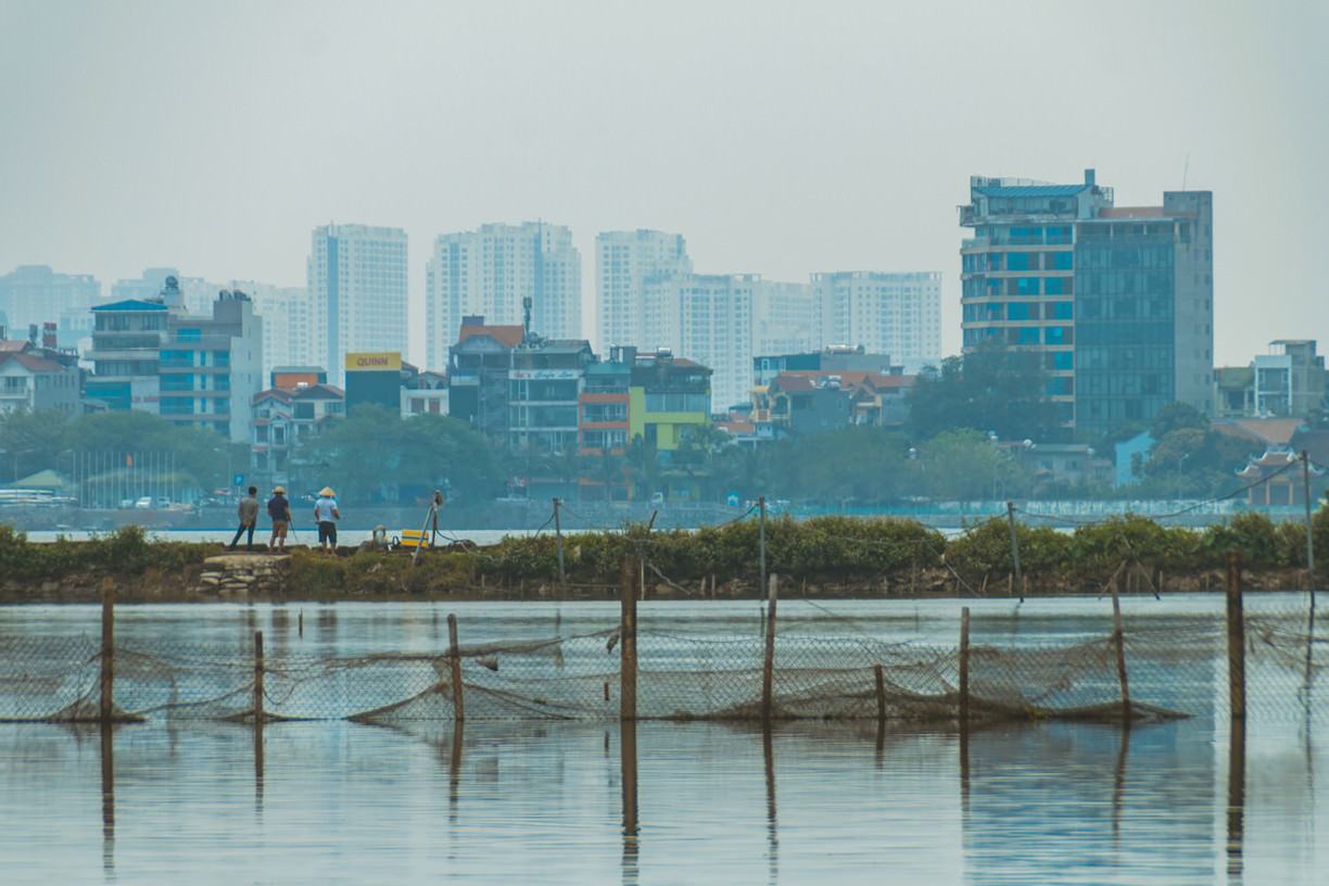 Hình ảnh đẹp về Hồ Tây Hà Nội