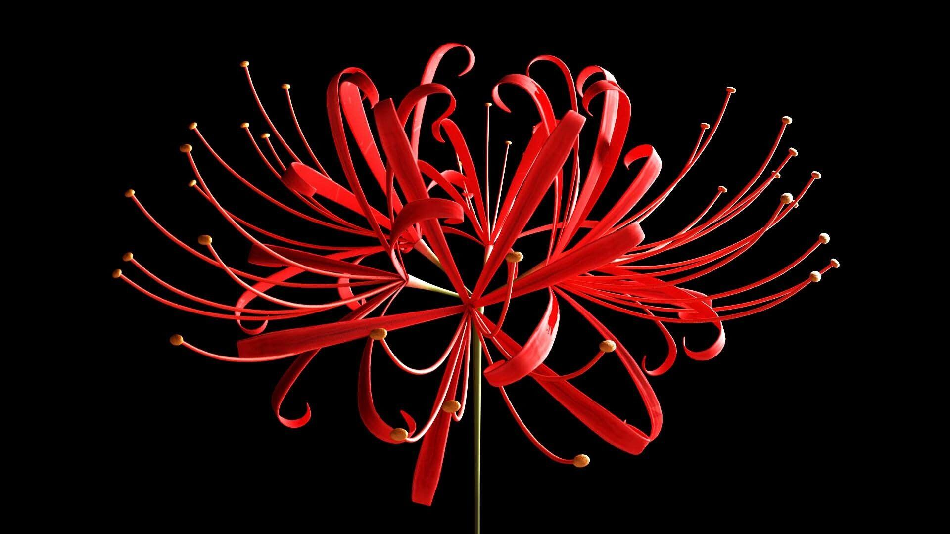 Tranh vẽ 3D hình hoa nở màu hồng và hai hình con bướm 26933  123Designorg