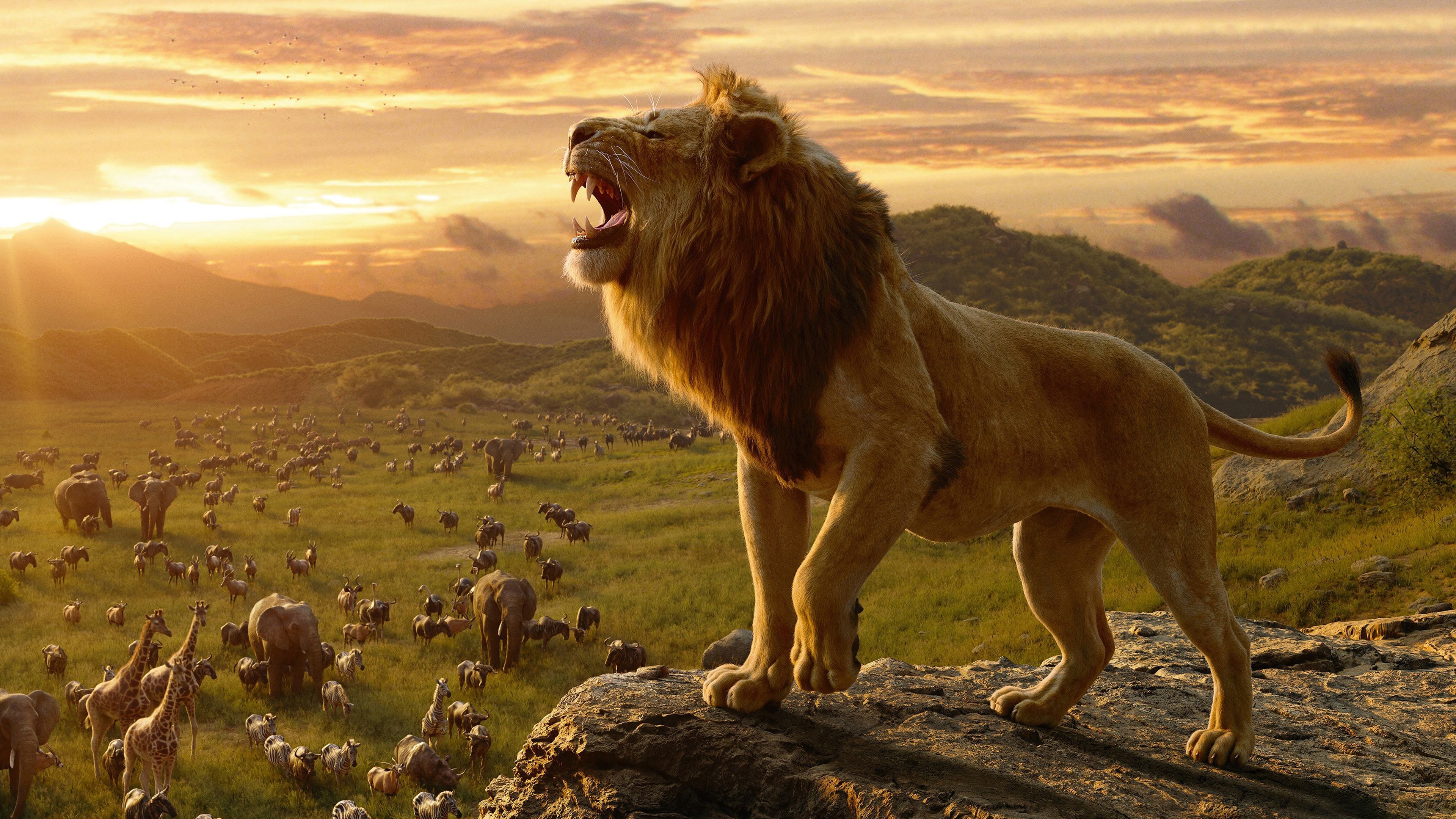 Hình nền vua sư tử