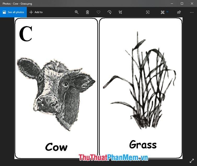 Hình ảnh động vật 4D đàn bò đang gặm cỏ