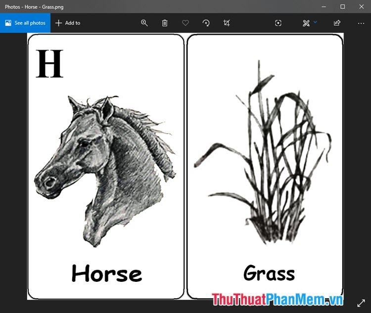 Animal 4D hình ảnh con ngựa đang ăn cỏ