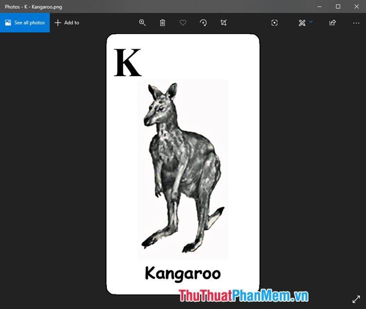 Hình ảnh động vật 4D Kangaroo dễ thương