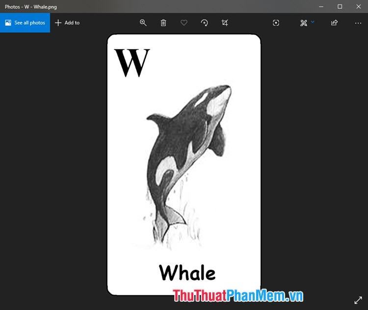 Hình ảnh động vật 4D của cá voi