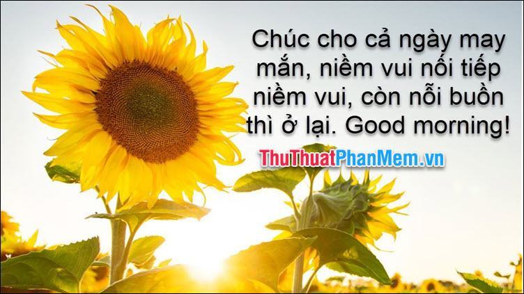 Chúc mọi người một ngày tràn ngập niềm vui, hạnh phúc nối tiếp niềm vui và nỗi buồn ở lại