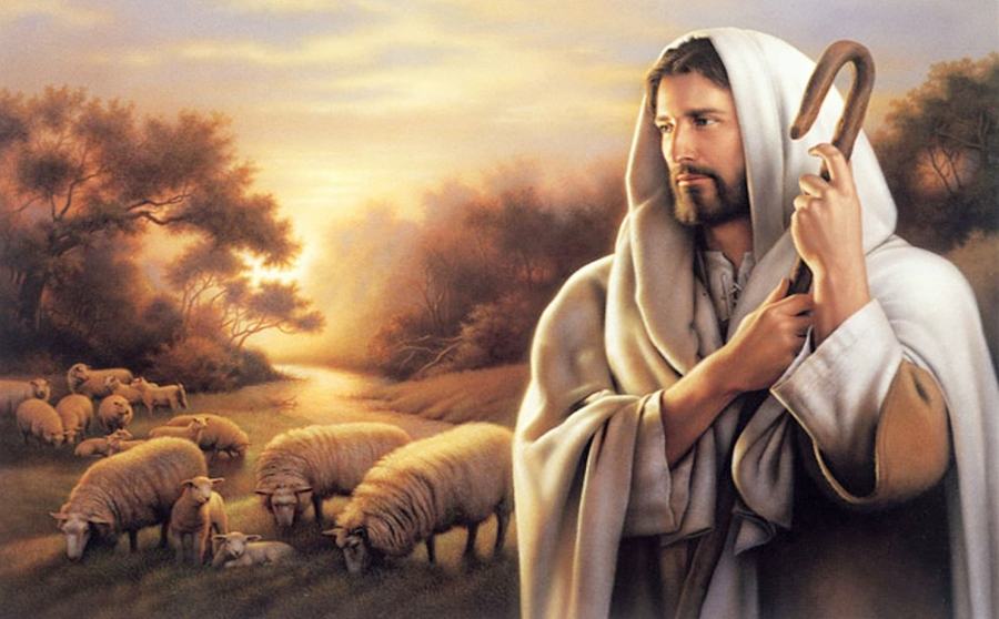 Chúa Giêsu đang chăn chiên