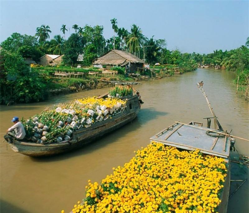 Bộ ảnh người dân buôn bán trên sông nước quê hương Việt Nam