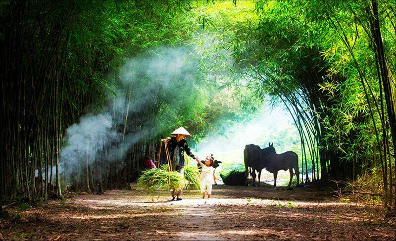 Hình ảnh quê hương Việt Nam tuổi thơ của mỗi người