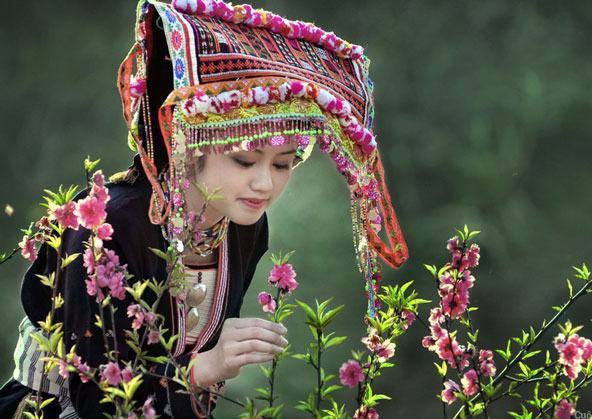 Hình ảnh cô gái dân tộc bên những bông hoa của núi rừng quê hương Việt Nam