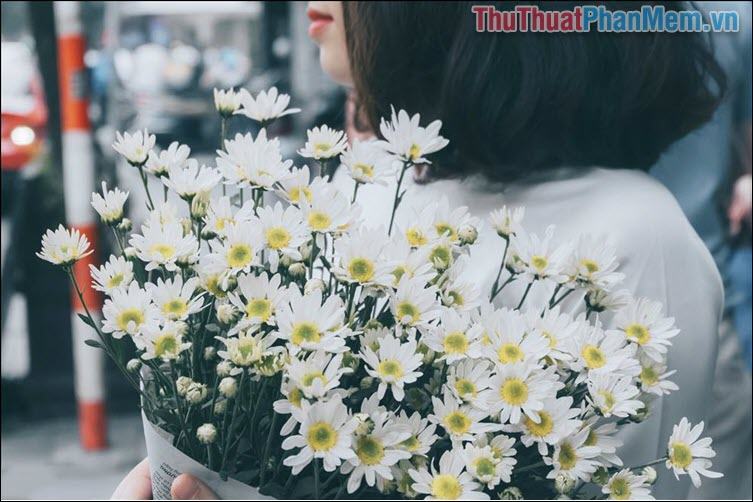 Về với Hà Nội em yêu nhé – Triệu Phú Tình