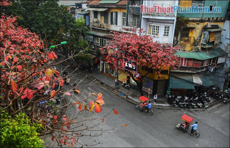 Hà Nội phố - Bằng Lăng Tím