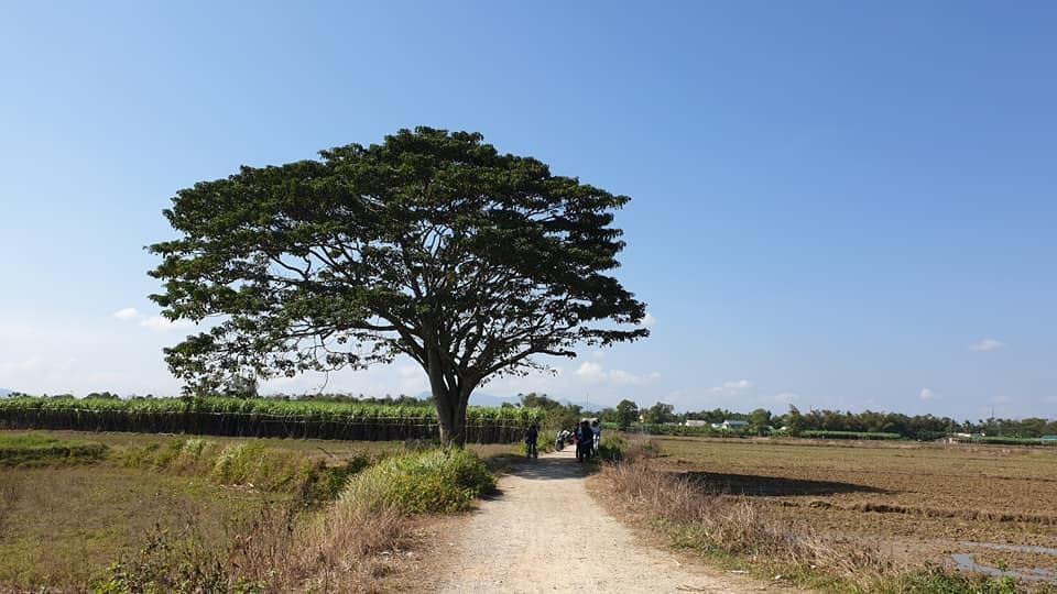 Hình ảnh làng quê Việt Nam thanh bình