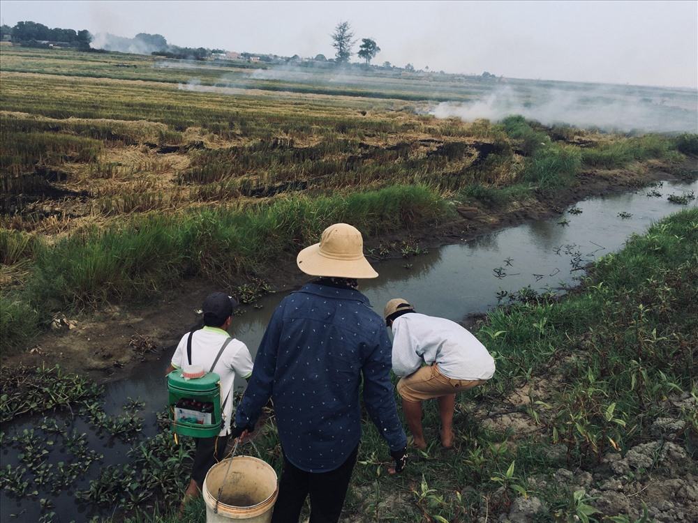 Ảnh về làng quê Việt Nam rất yên bình