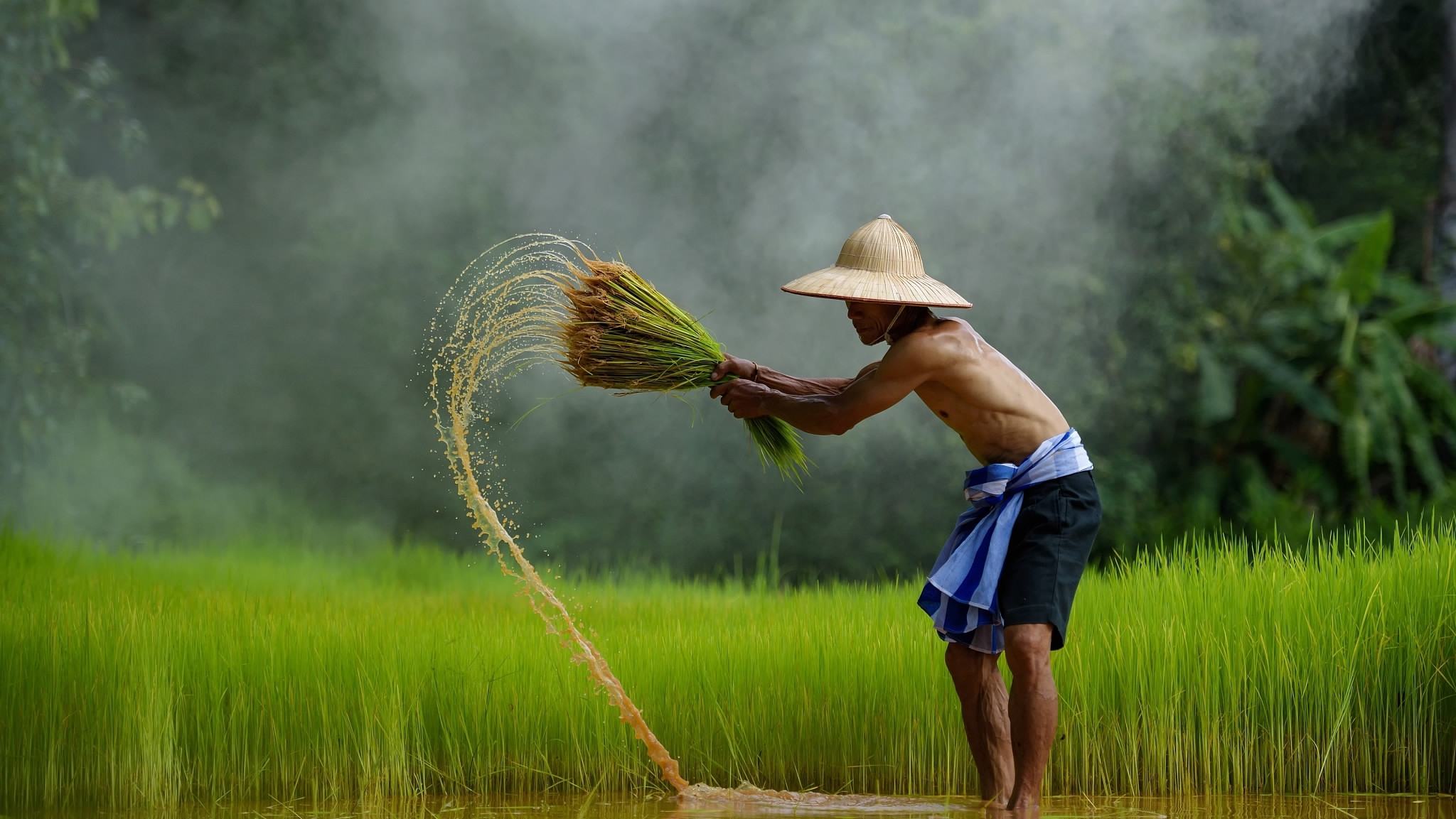 Hình ảnh làng quê Việt Nam thanh bình