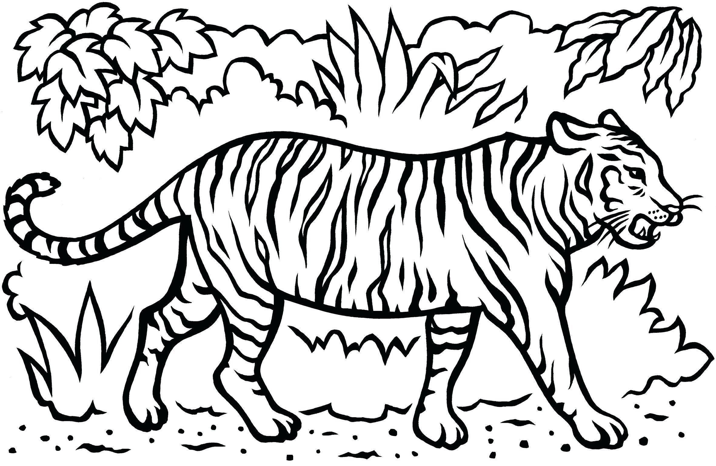 Tranh tô màu con hổ đi trong rừng