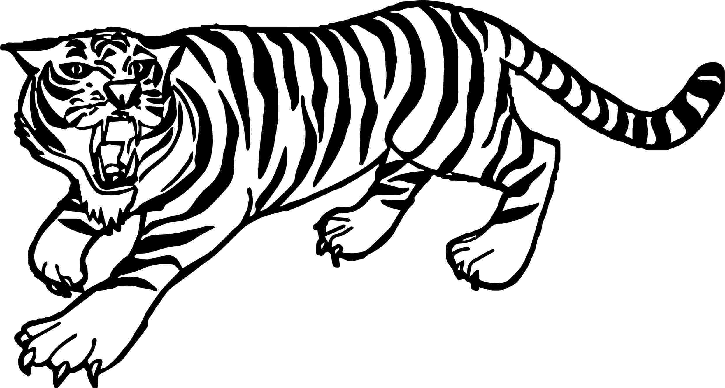 Tranh tô màu con hổ đang gào thét