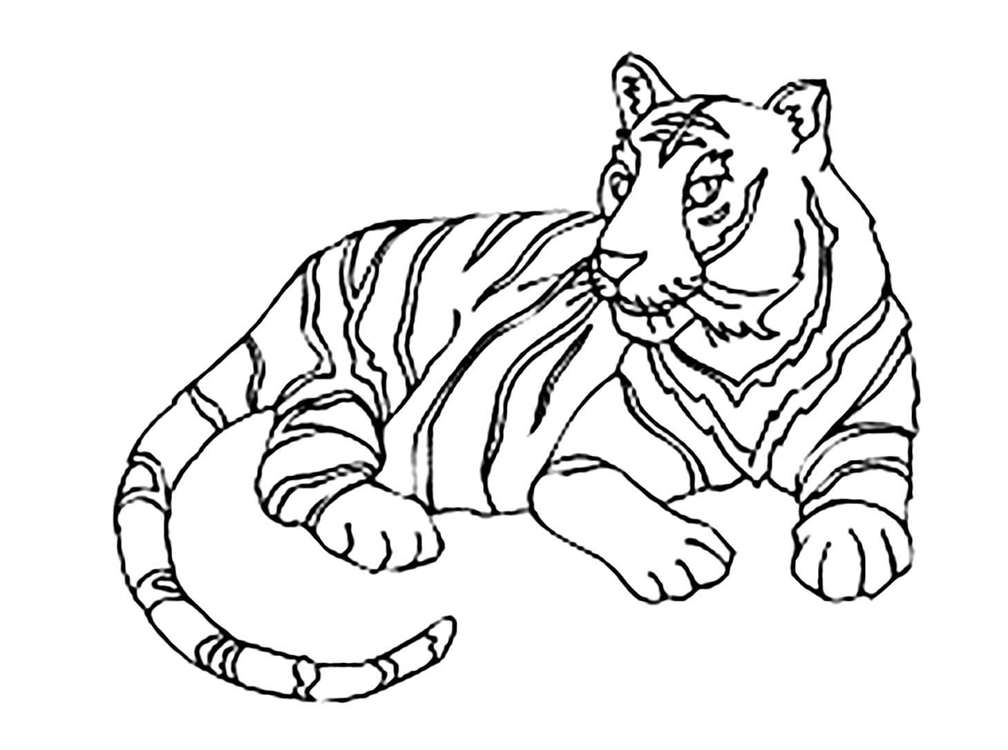 Tranh tô màu con hổ nằm rất đẹp