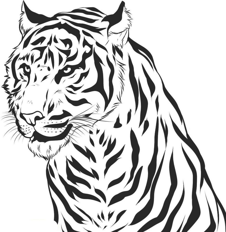 Tranh tô màu con hổ nhìn ngầu quá