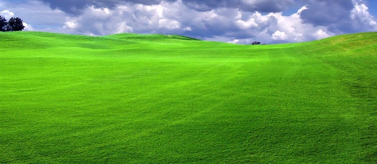 Ảnh đẹp bãi cỏ xanh