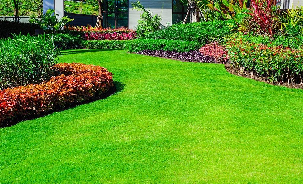 Hình ảnh thảm cỏ xanh trong sân vườn