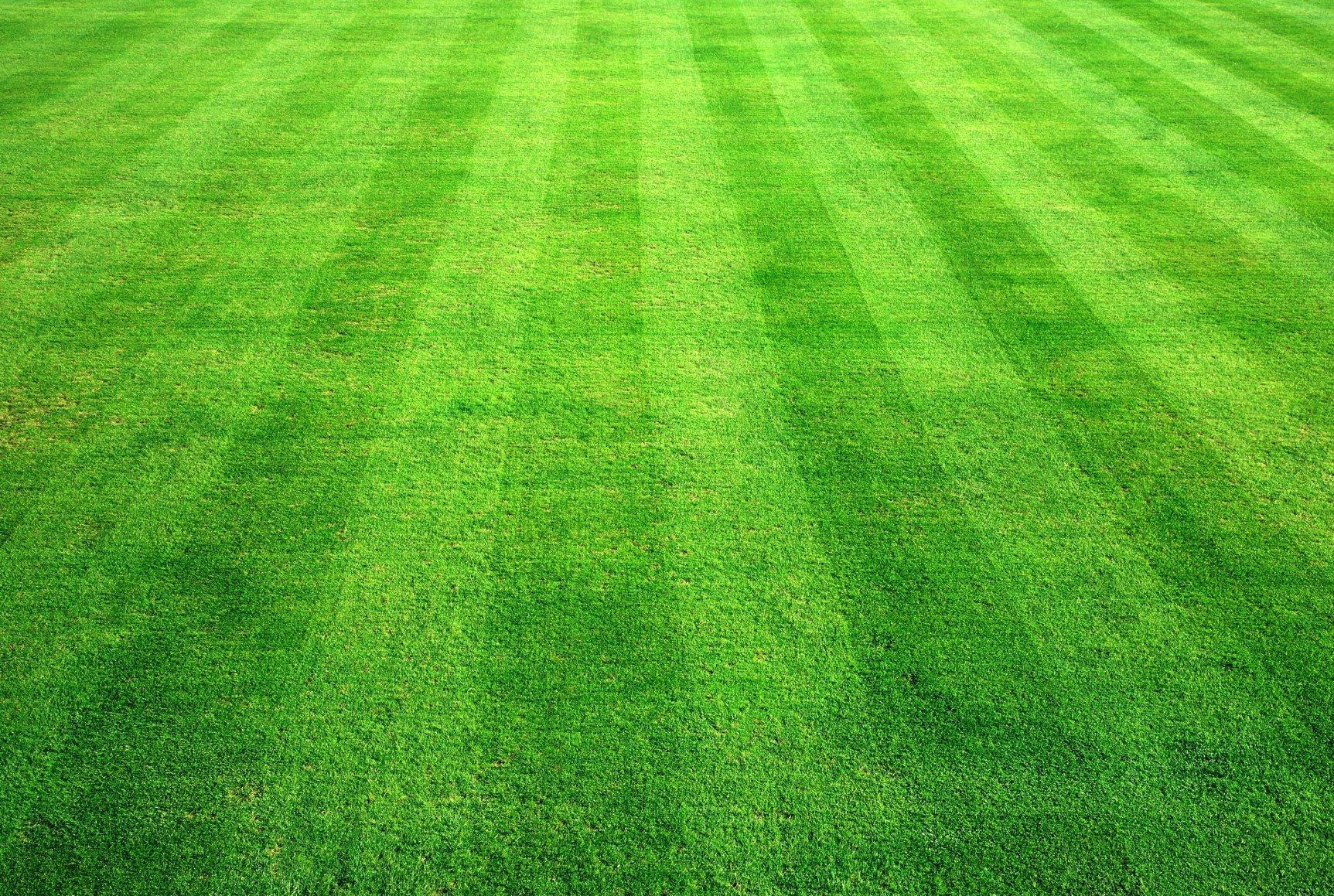 Hình ảnh thảm cỏ xanh trên sân bóng