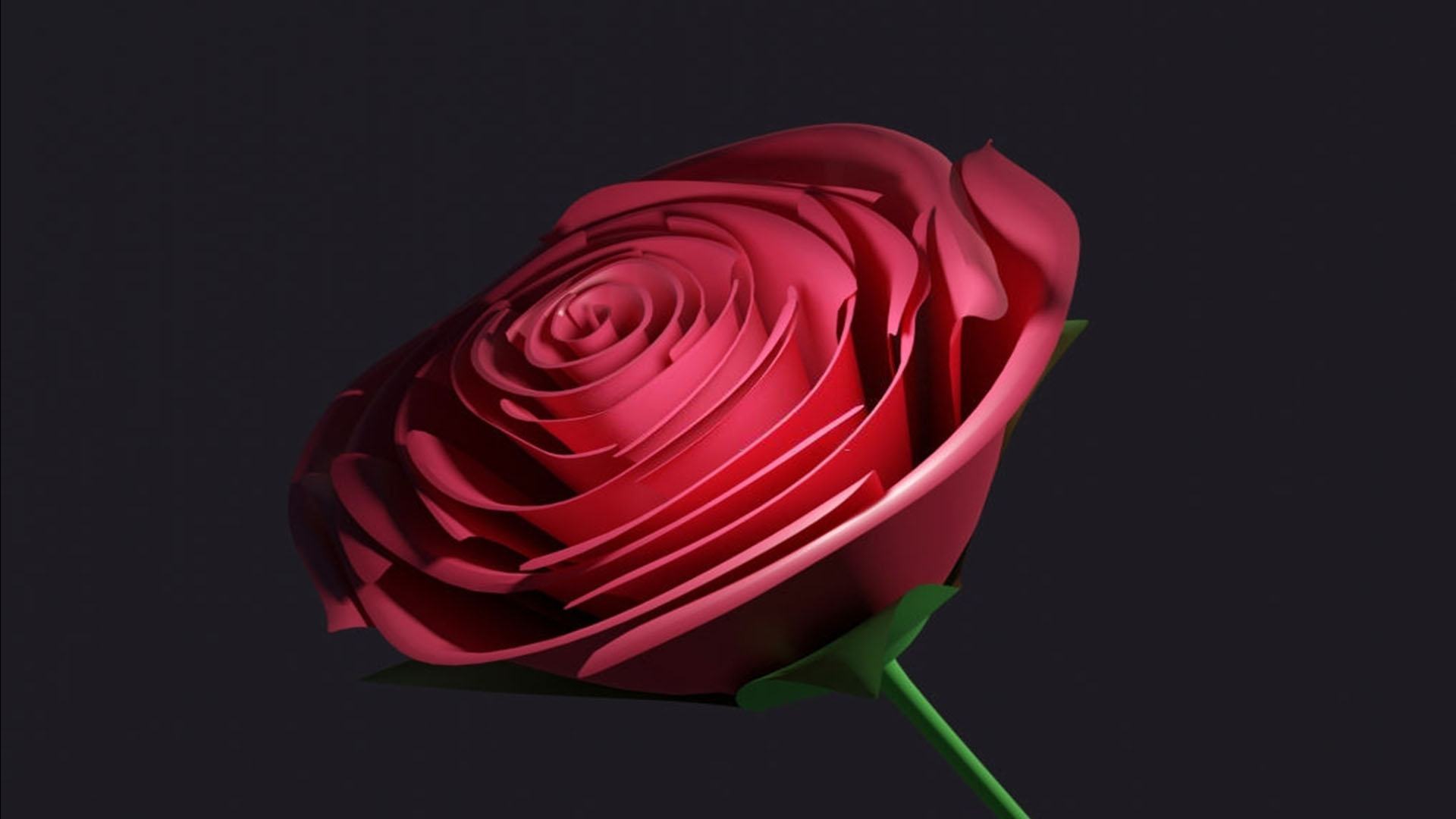 50 Hình nền hoa hồng đẹp nhất thế giới cho điện thoại PC