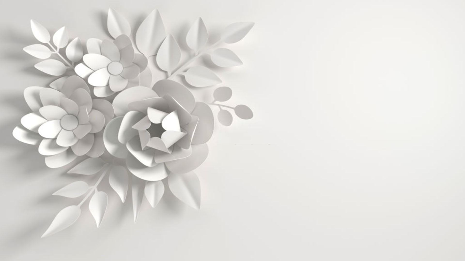 Giấy dán tường 3D hoa hồng trắng
