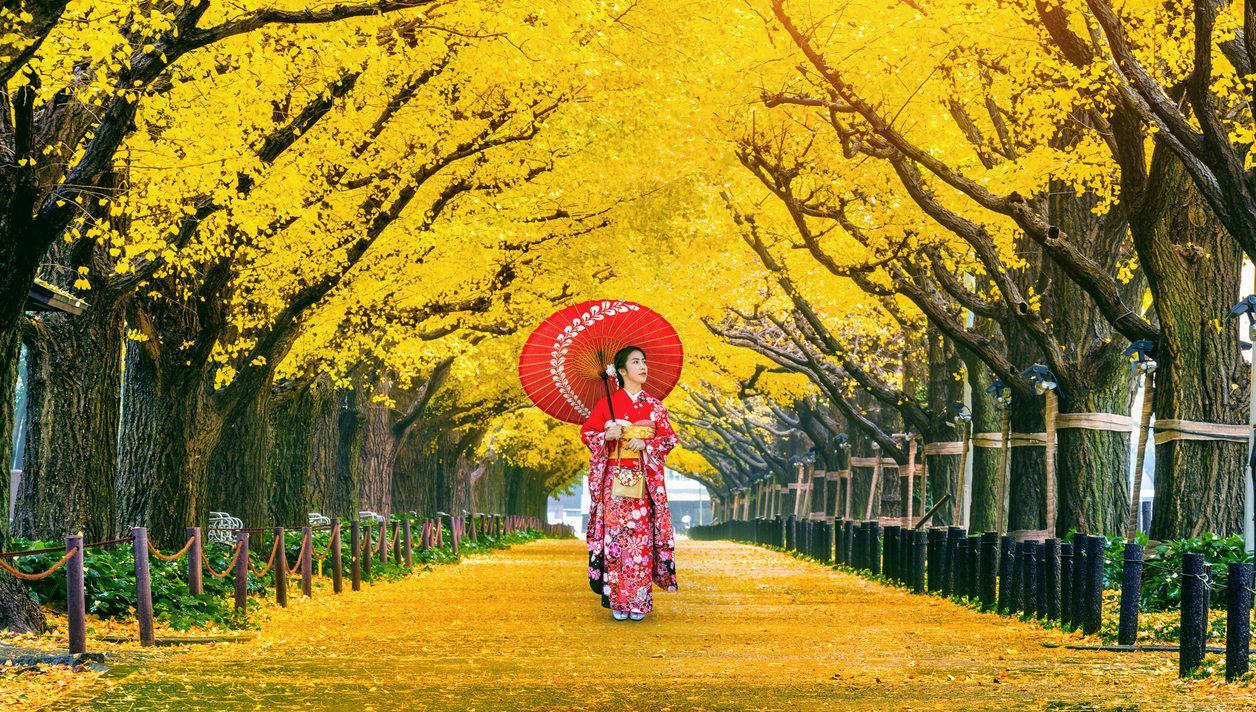 Du lịch Nhật Bản ngắm lá thu tại đây