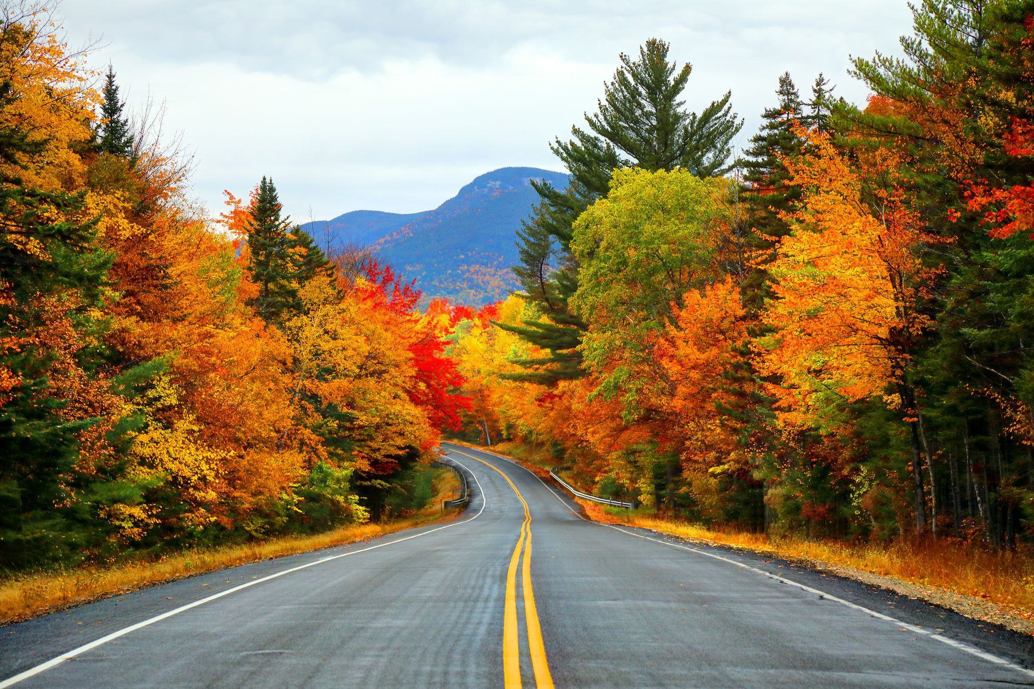 Đường cao tốc xuyên qua rừng phong vào mùa thu