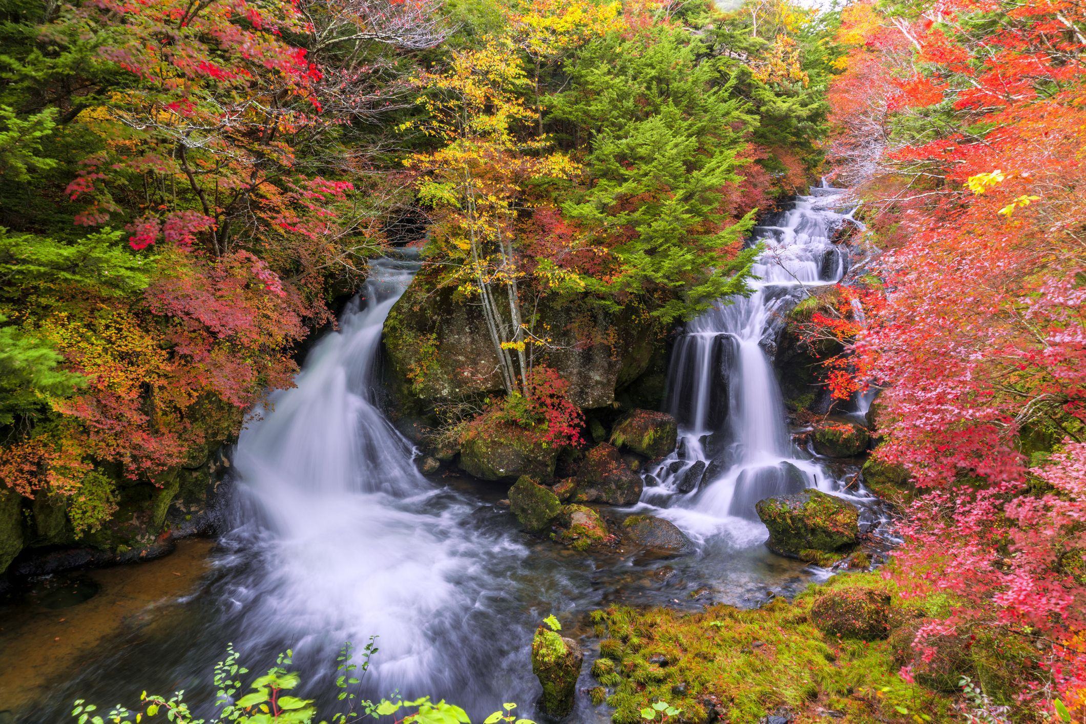 Hình ảnh thác nước trong rừng mùa thu rất đẹp