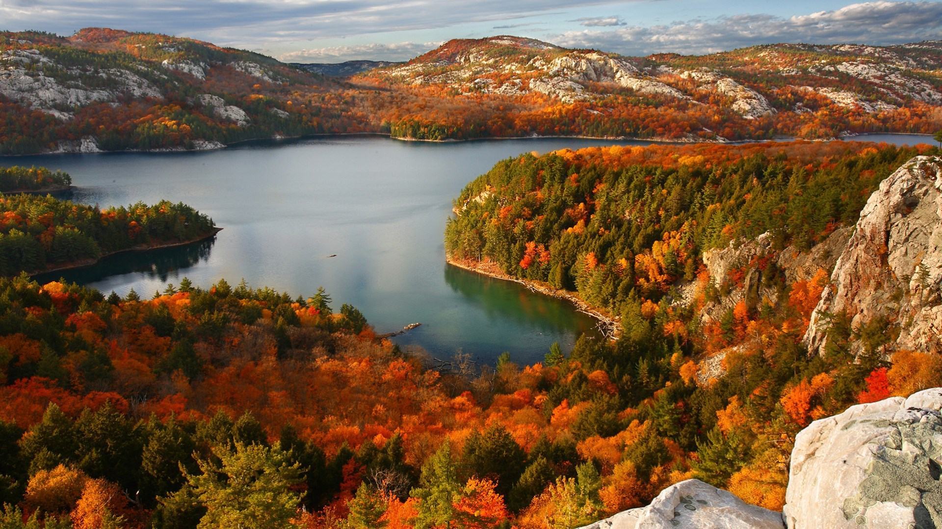 Hình ảnh mùa thu lá vàng bên hồ nước trong vắt