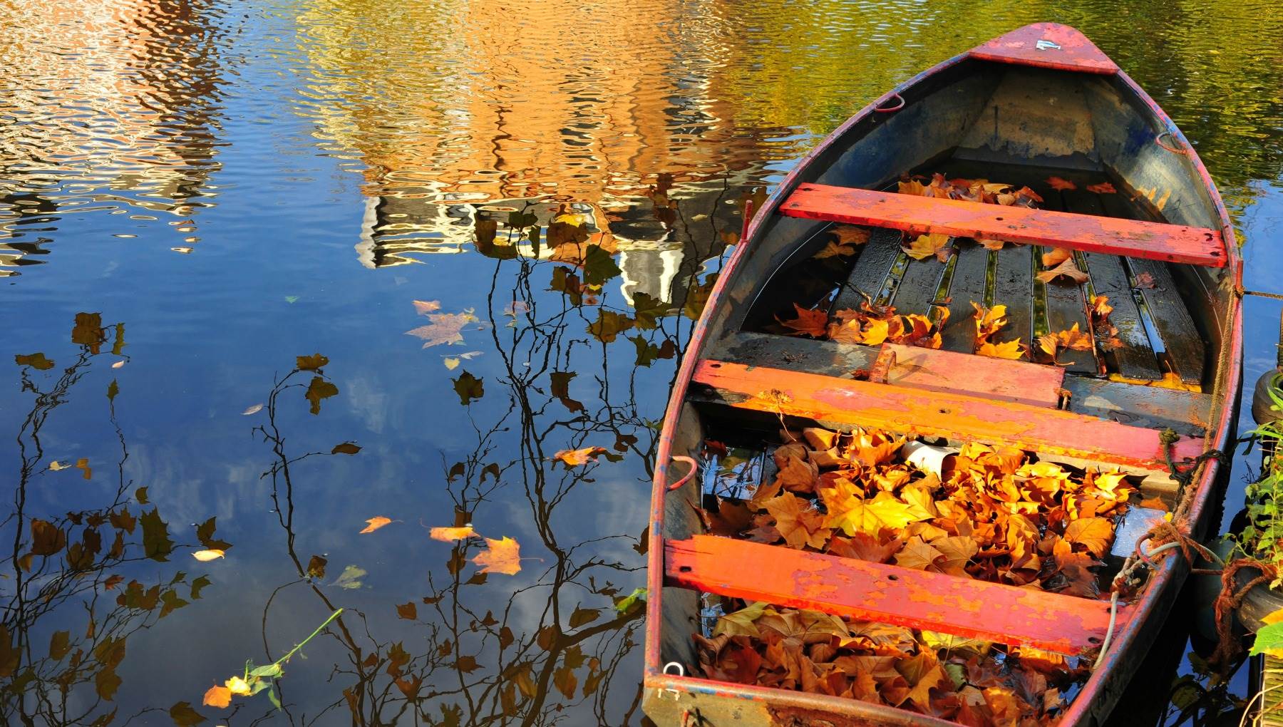 Mùa thu, nước trong veo, thuyền đầy lá vàng