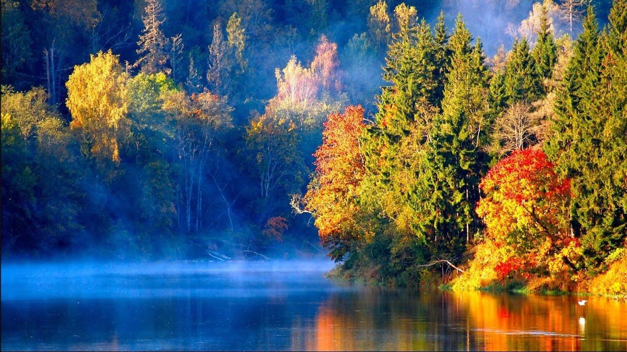 Những chiếc lá mùa thu tuyệt vời chuyển sang màu đỏ và vàng trong sương sớm trên mặt hồ