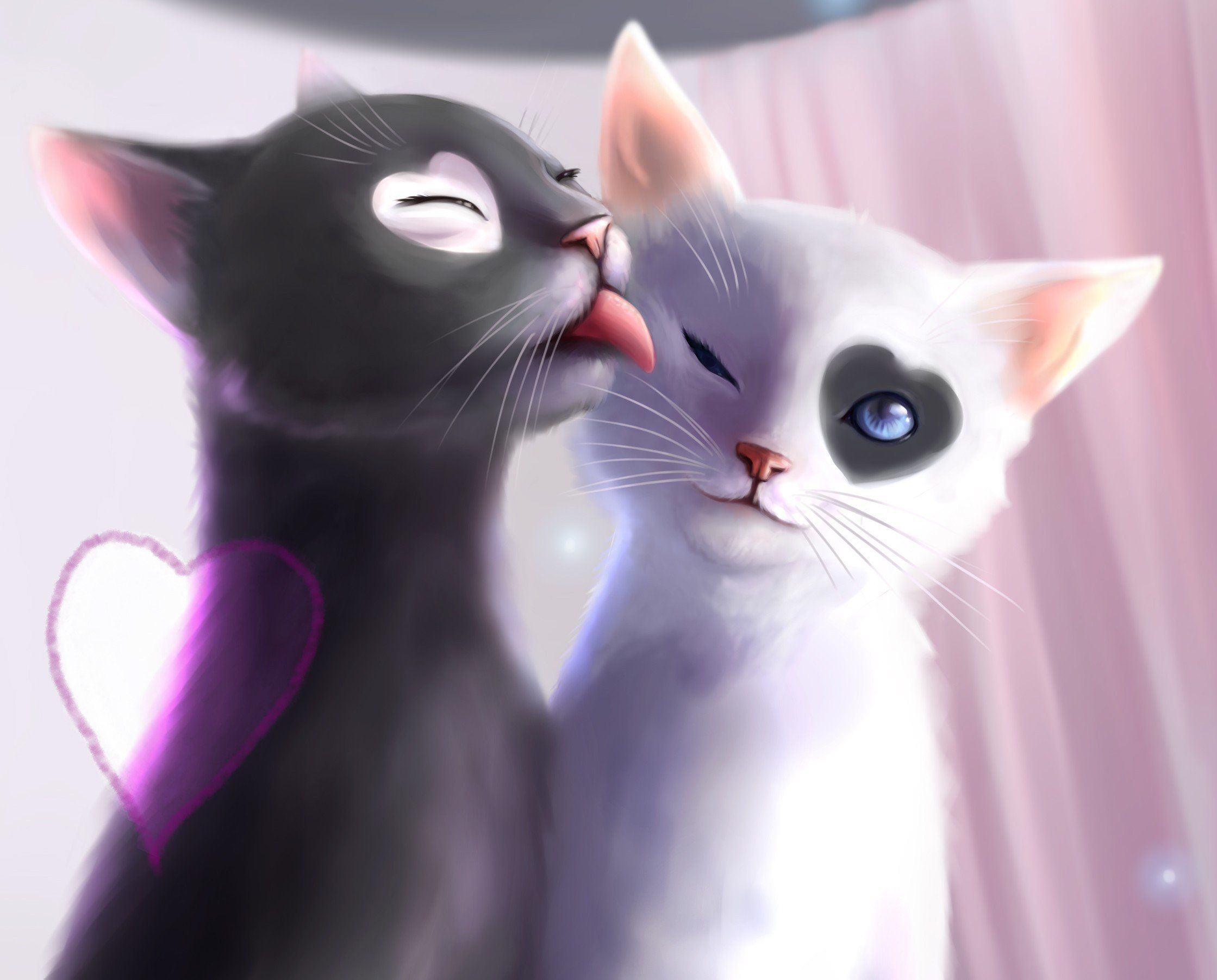Vẽ hai con mèo đen trắng cực dễ thương