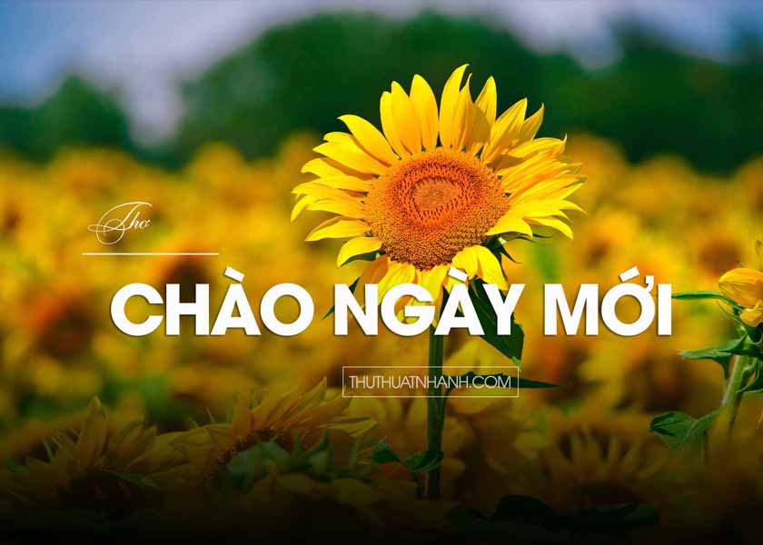 Thơ chào ngày mới vui vẻ tốt lành gửi đến những người yêu thương ...