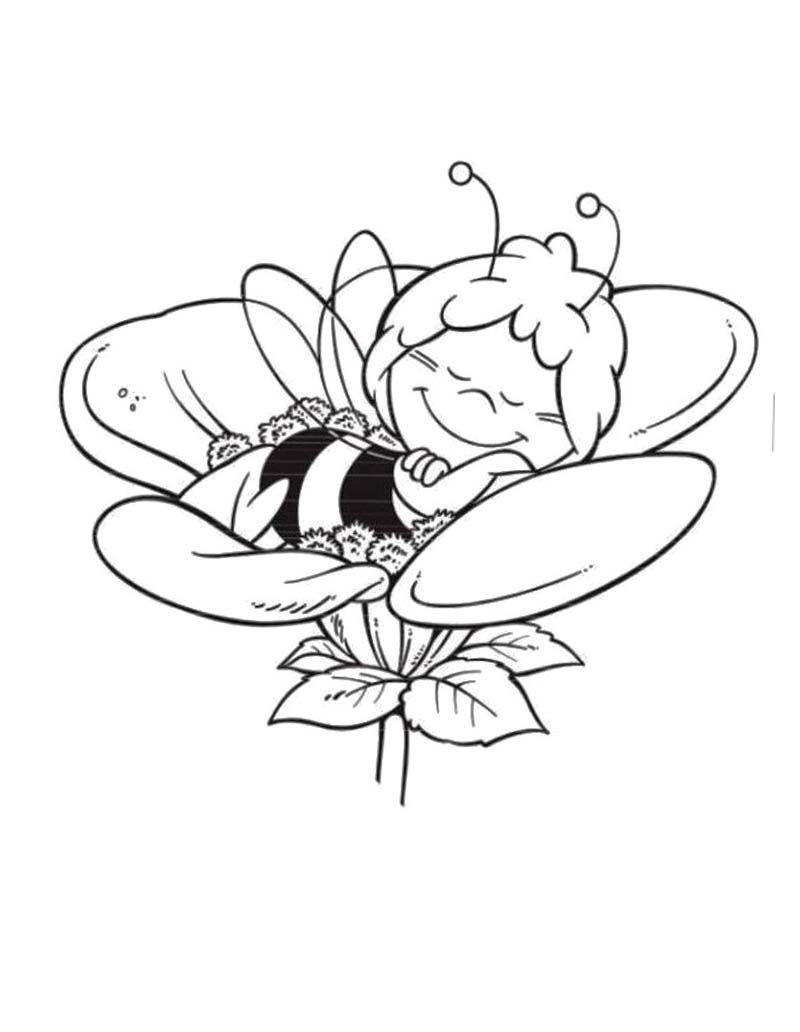 Tranh tô màu chú ong đang ngủ trên bông hoa