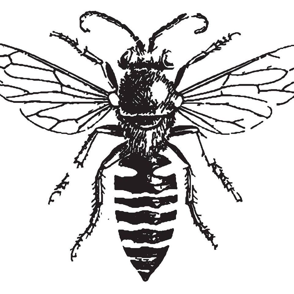 Trang màu con ong thực tế