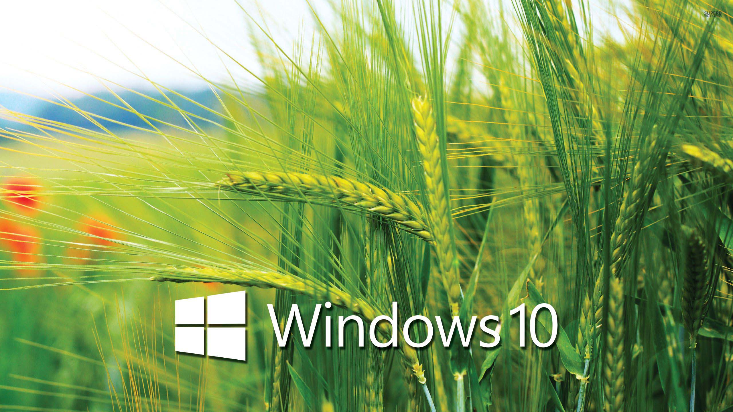 Hình nền Windows 10 cho máy tính