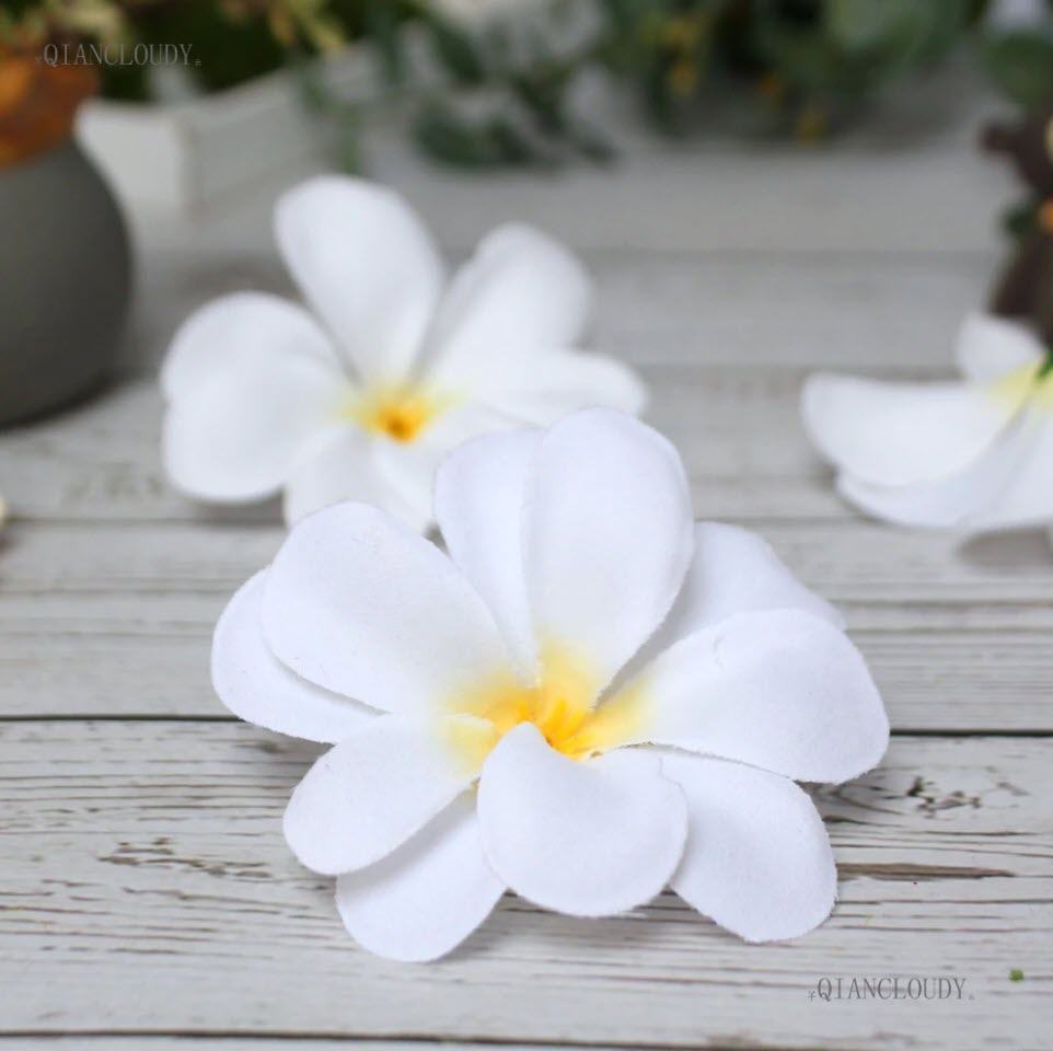 Hình ảnh hoa sứ trắng đẹp nhất