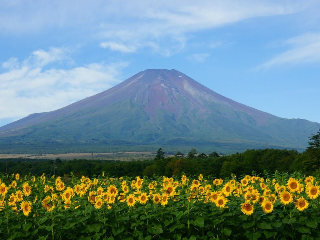 Hình ảnh núi Phú Sĩ vào mùa hè