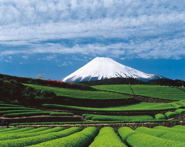 Hình ảnh núi Phú Sĩ Nhật Bản