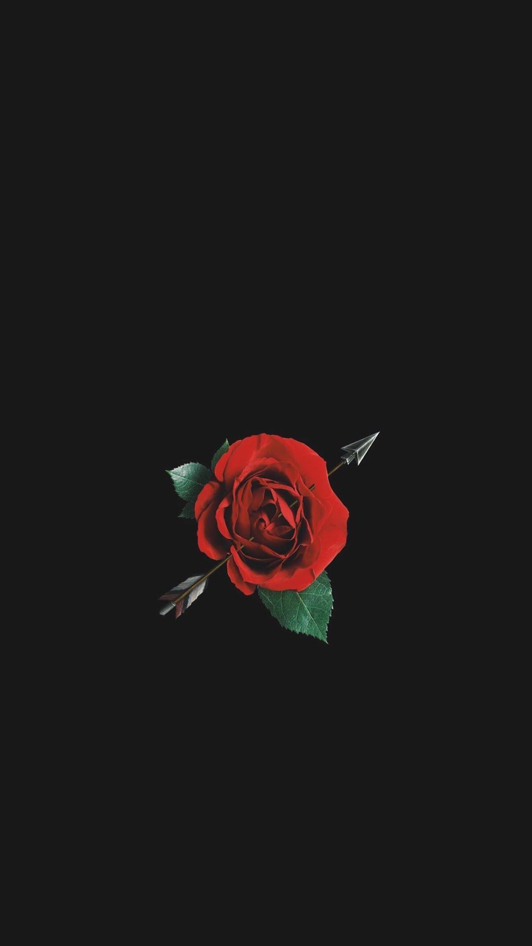 Hình nền hoa hồng cho điện thoại
