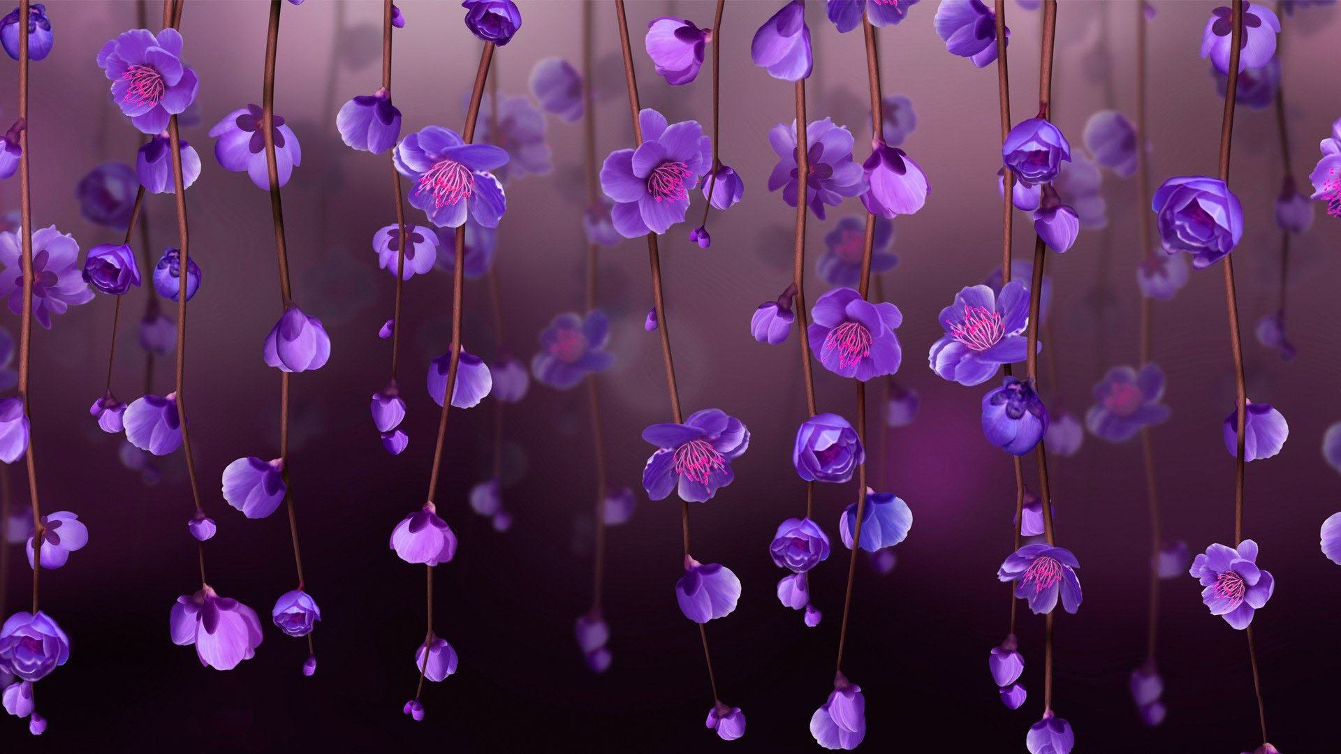 Purple Flower Desktop Wallpapers  Top Những Hình Ảnh Đẹp