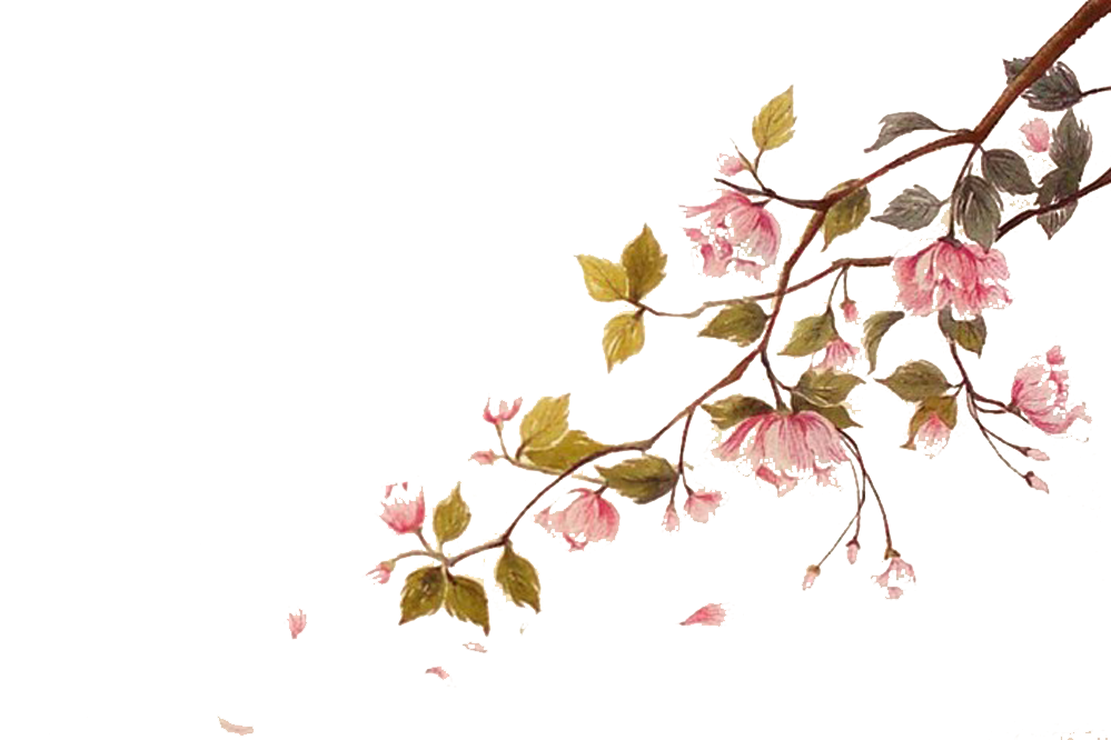Hình ảnh cành hoa đào đẹp