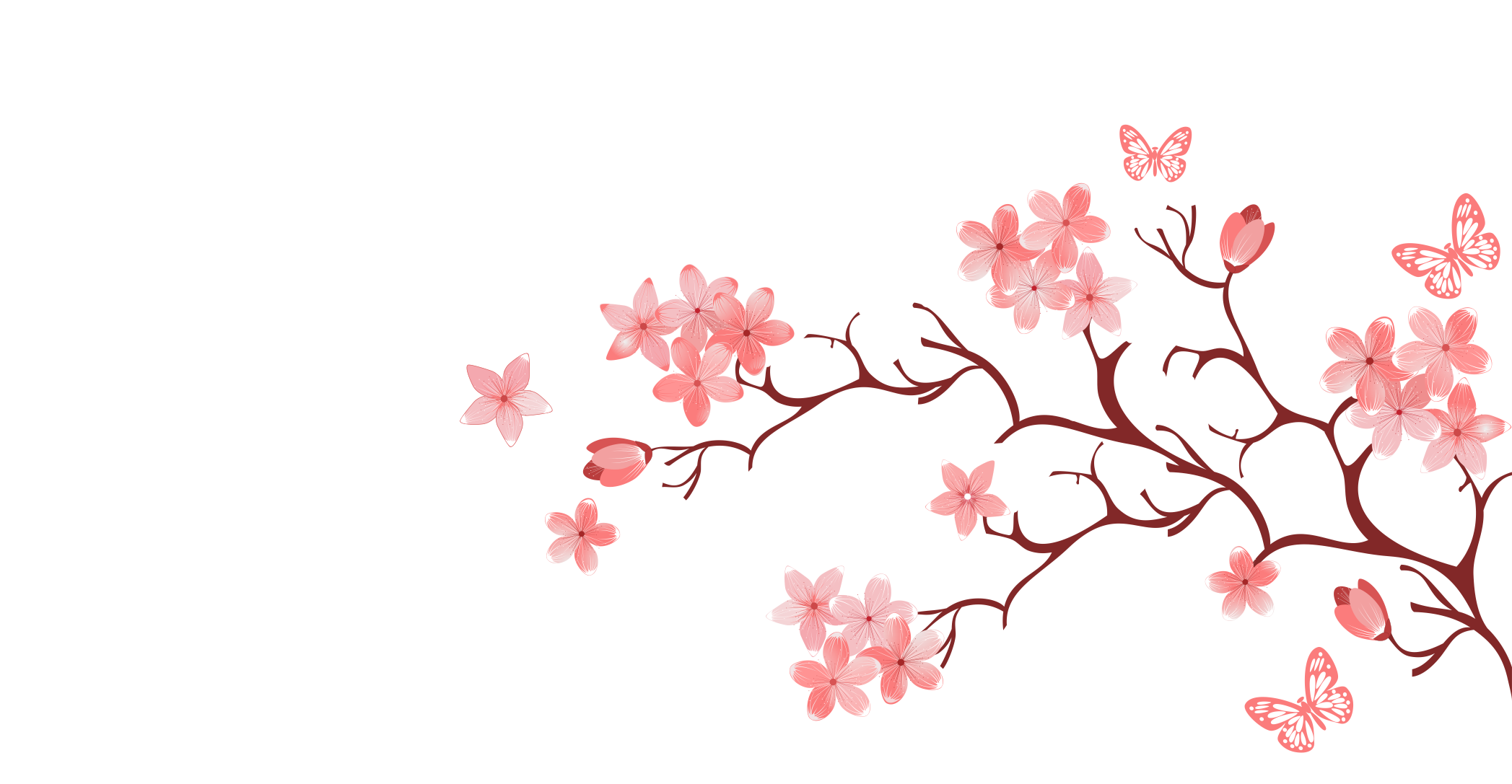 Hình ảnh hoa đào mùa xuân