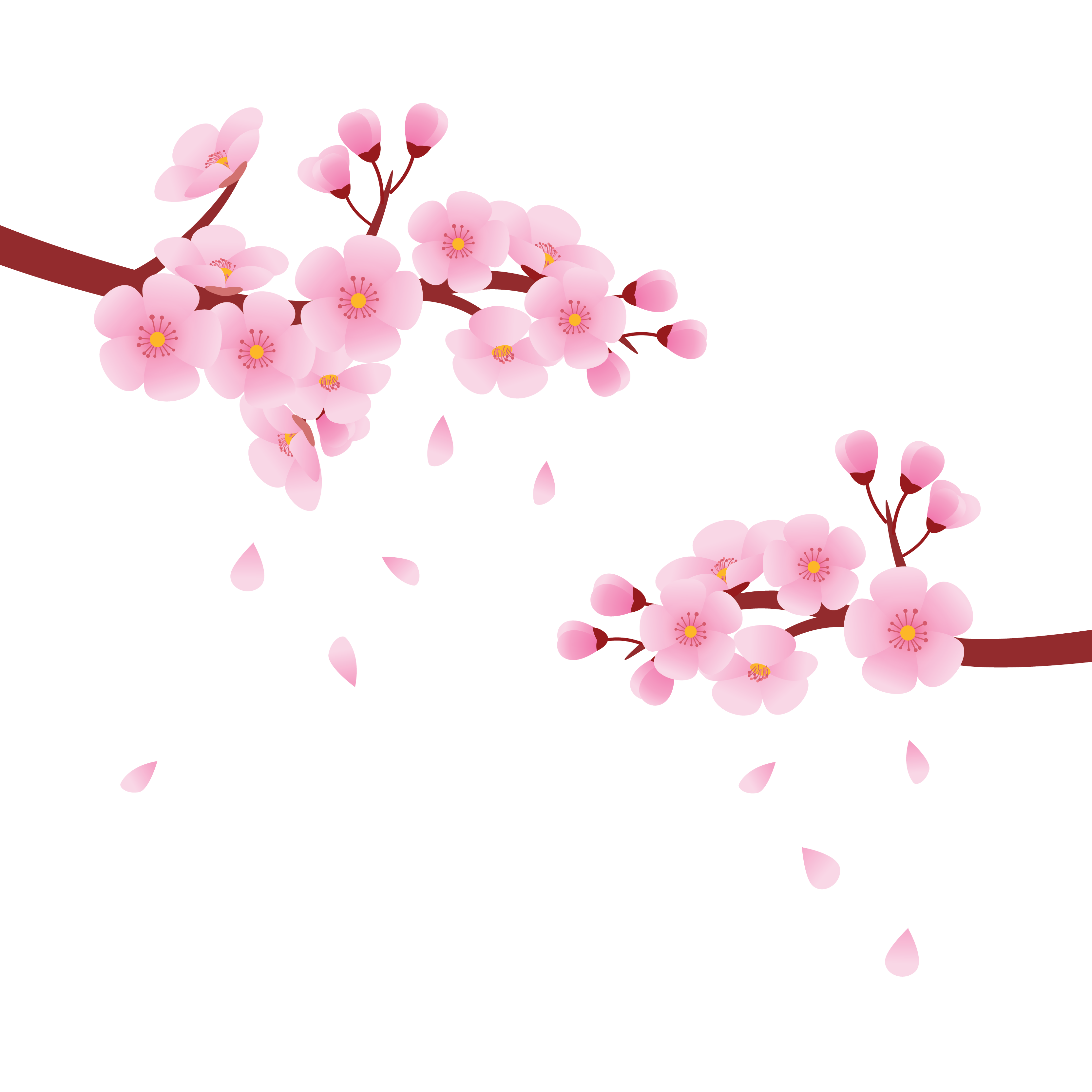 Hình ảnh hoa đào hồng đẹp