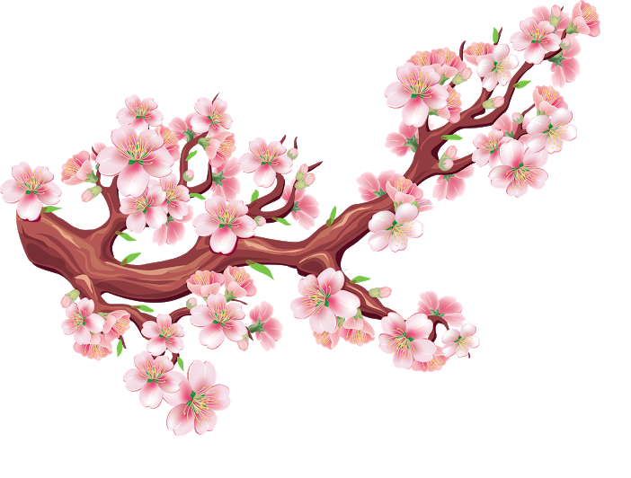 Hình ảnh hoa đào màu hồng